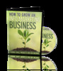 Thumbnail How To Grow An Info-Marketing Business